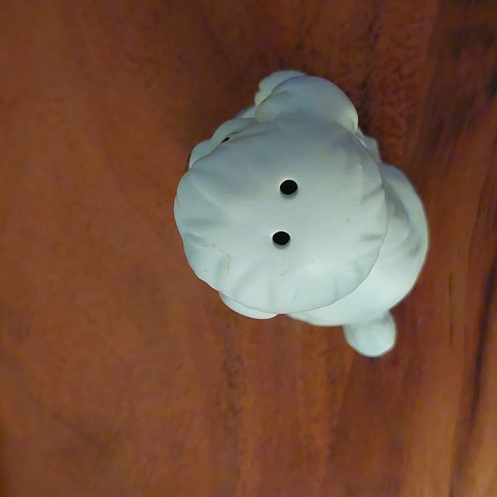 Poodle Salt & Pepper - Picture 12 of 13